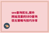 seo查询优化,提升网站流量的SEO查询优化策略与技巧分享