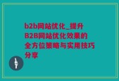 b2b网站优化_提升B2B网站优化效果的全方位策略与实用技巧分享