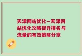 天津网站优化—天津网站优化攻略提升排名与流量的有效策略分享