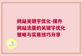 网站关键字优化-提升网站流量的关键字优化策略与实用技巧分享