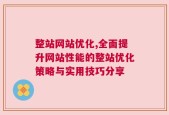 整站网站优化,全面提升网站性能的整站优化策略与实用技巧分享