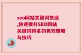 seo网站关键词快速,快速提升SEO网站关键词排名的有效策略与技巧