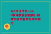 seo快速优化—SEO快速优化秘籍提升网站排名的有效策略与技巧