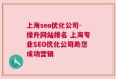 上海seo优化公司-提升网站排名 上海专业SEO优化公司助您成功营销