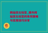 网站优化标签_提升网站优化标签的有效策略与实用技巧分享