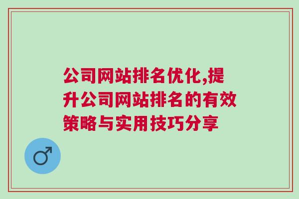 公司网站排名优化,提升公司网站排名的有效策略与实用技巧分享