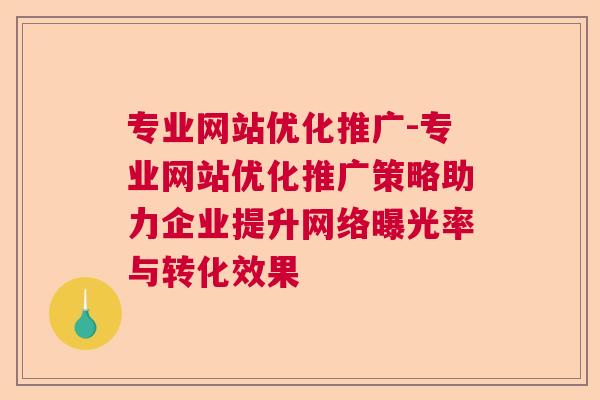 专业网站优化推广-专业网站优化推广策略助力企业提升网络曝光率与转化效果