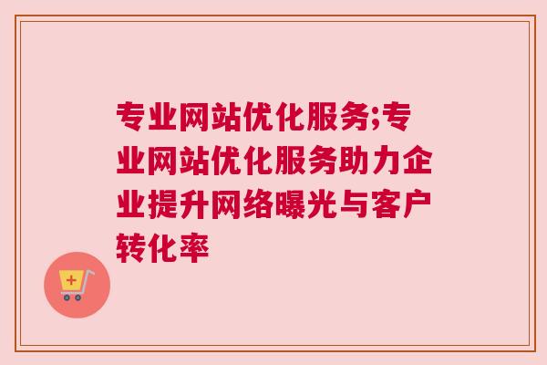 专业网站优化服务;专业网站优化服务助力企业提升网络曝光与客户转化率